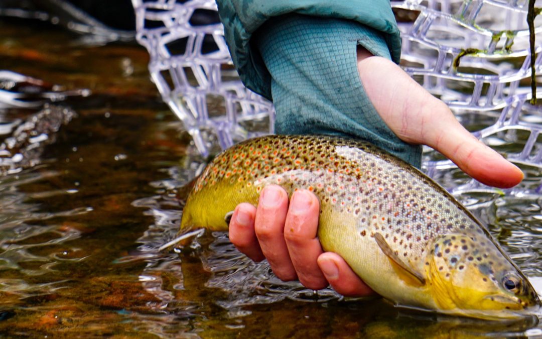 5 Tips For Winter Fly Fishing | Campfire Collective