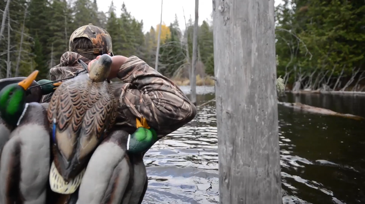 Duck hunter with decoys