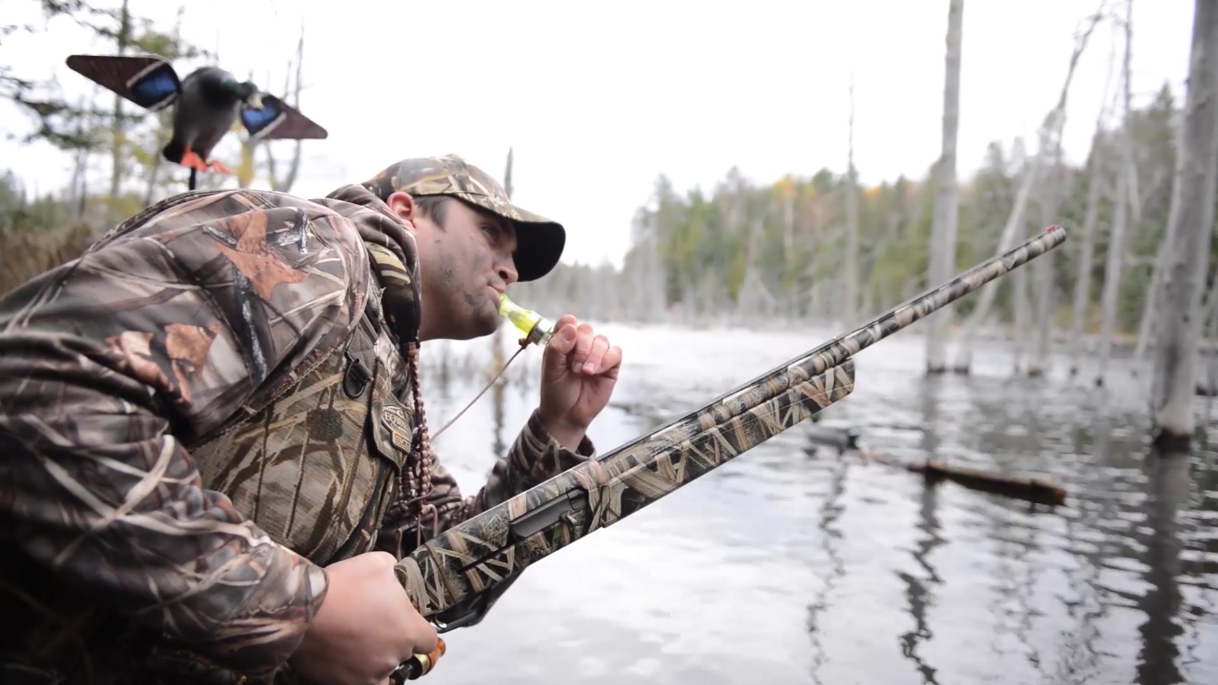 Duck hunter using a duck call