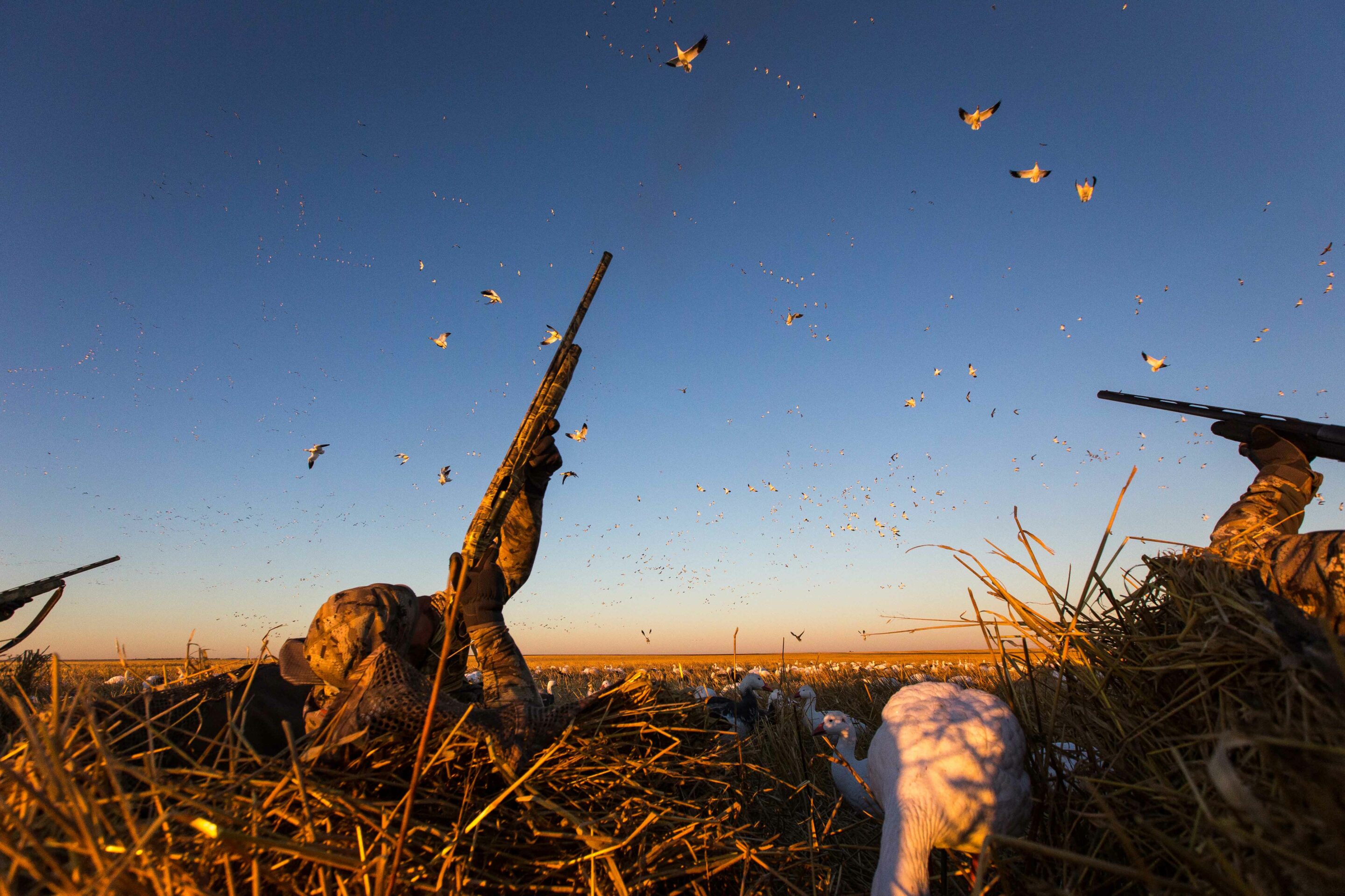 Top 10 Duck Hunting Gear Must-Haves
